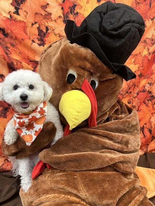 Howl-O-Ween Week Flyer